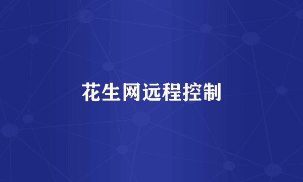 花生网远程控制
