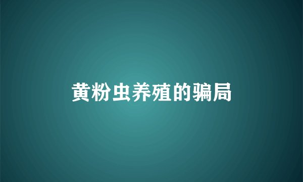 黄粉虫养殖的骗局