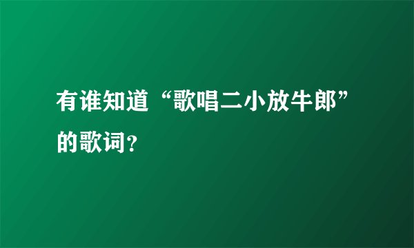 有谁知道“歌唱二小放牛郎”的歌词？