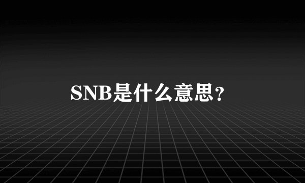 SNB是什么意思？