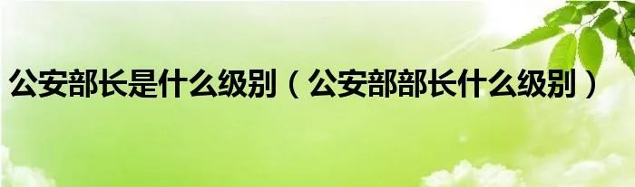 公安部长是什么级别（公安部部长什么级别）