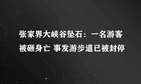 张家界大峡谷坠石:一名游客被砸身亡 事发游步道已被封停