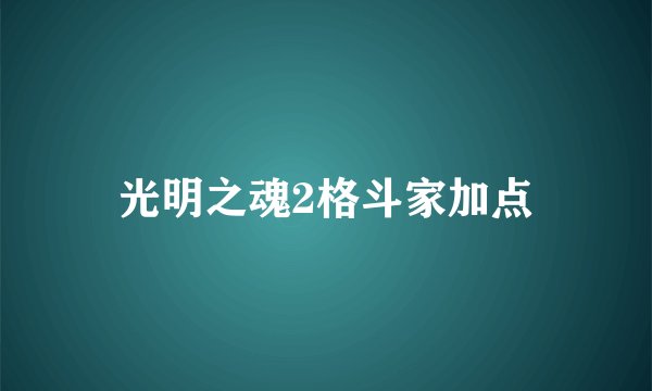光明之魂2格斗家加点