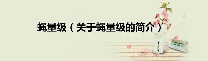 蝇量级(关于蝇量级的简介)