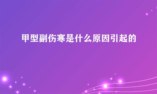 甲型副伤寒是什么原因引起的