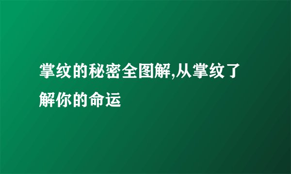 掌纹的秘密全图解,从掌纹了解你的命运