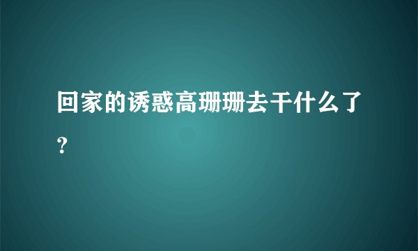 回家的诱惑高珊珊去干什么了？
