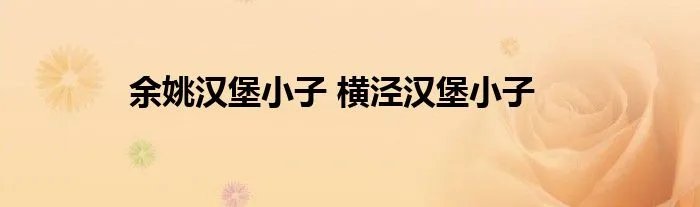 余姚汉堡小子 横泾汉堡小子