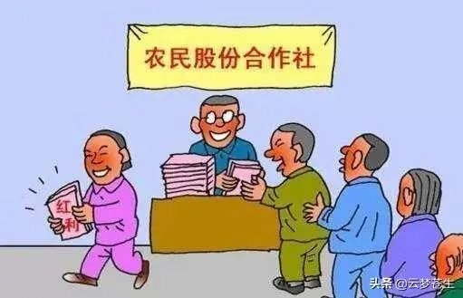 怎么看待中国农业合作社