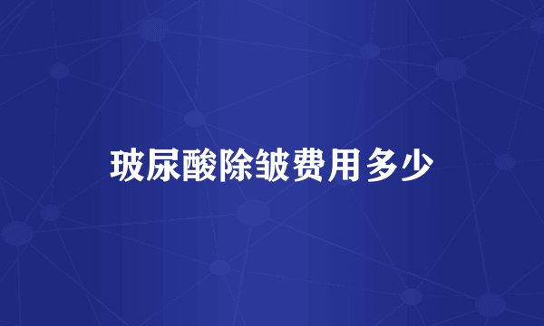 玻尿酸除皱费用多少