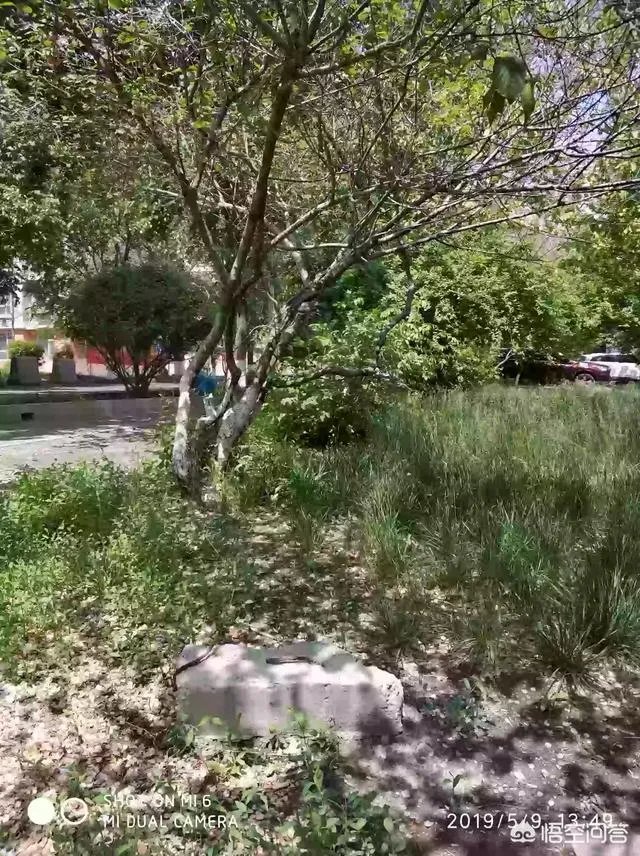 说一句祝福妈妈的话，是什么？