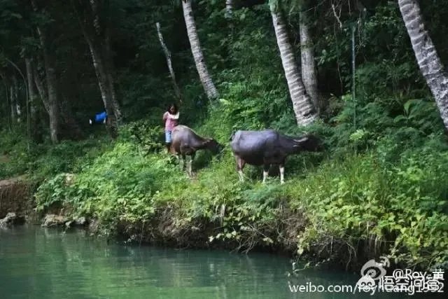 去海岛旅行,有哪些要注意的事项?