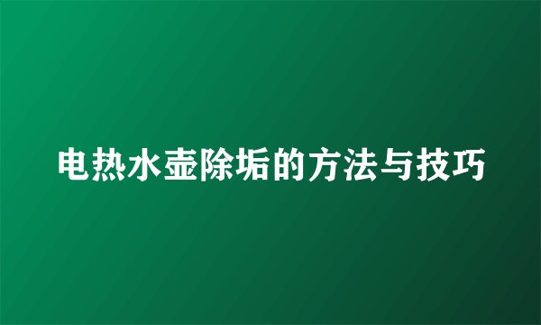 电热水壶除垢的方法与技巧