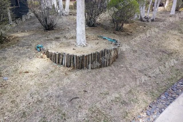 金地物业