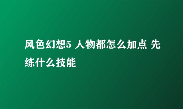 风色幻想5 人物都怎么加点 先练什么技能