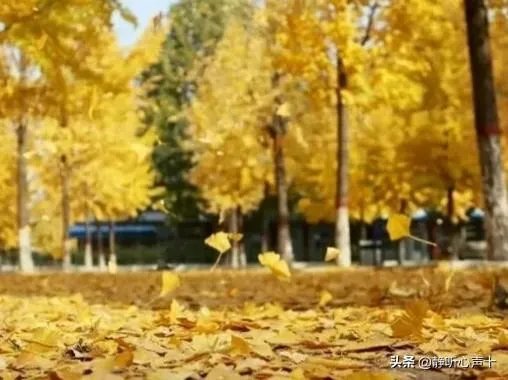 花生米怎么做好吃？