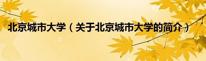 北京城市大学（关于北京城市大学的简介）