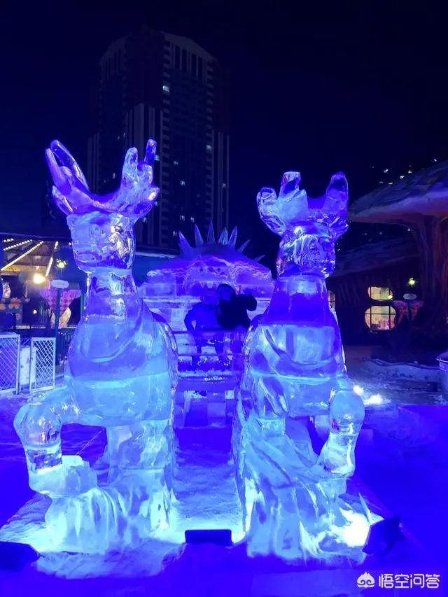 哈尔滨冰灯好看吗?