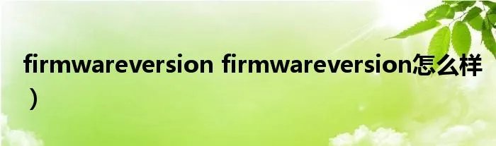 firmwareversion firmwareversion怎么样）