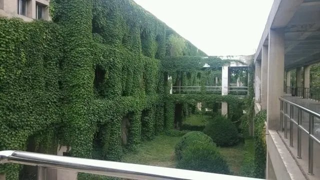 燕山大学怎么样
