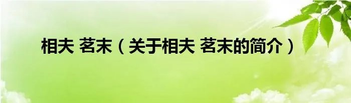 相夫 茗末（关于相夫 茗末的简介）