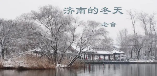 济南的冬天主要写了什么内容?
