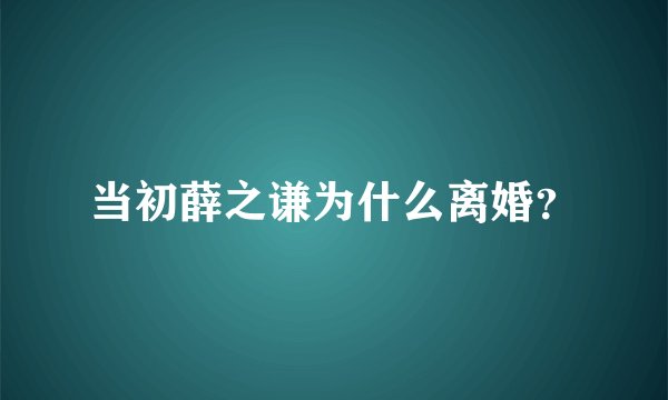 当初薛之谦为什么离婚？