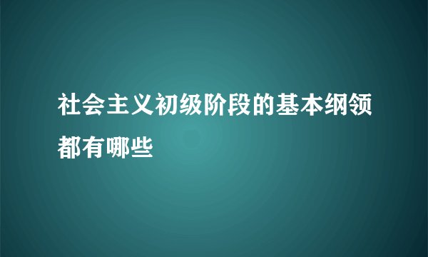 社会主义初级阶段的基本纲领都有哪些