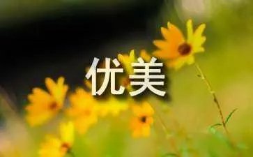 年终总结的优美句子