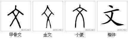 甲骨文中“文”字怎么写