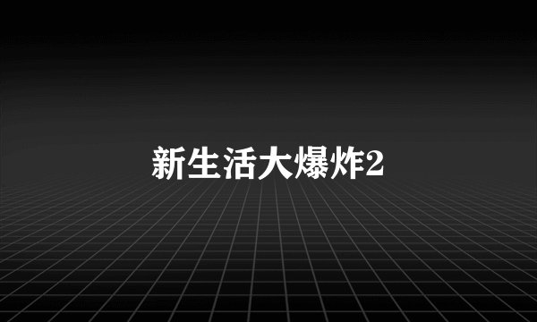 新生活大爆炸2