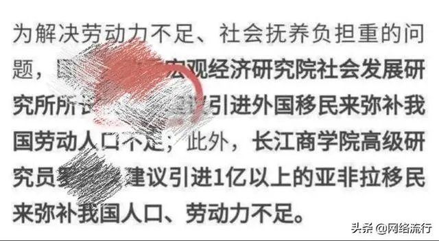 杨宜勇在黑人永居中国的事件中扮演什么样的角色?
