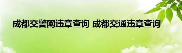成都交警网违章查询 成都交通违章查询