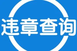 交管12123手机app在哪里，交通管理局官网12123是什么