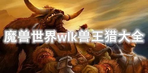 魔兽世界wlk兽王猎宏命令大全