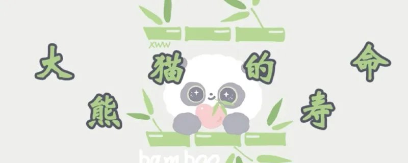 大熊猫的寿命