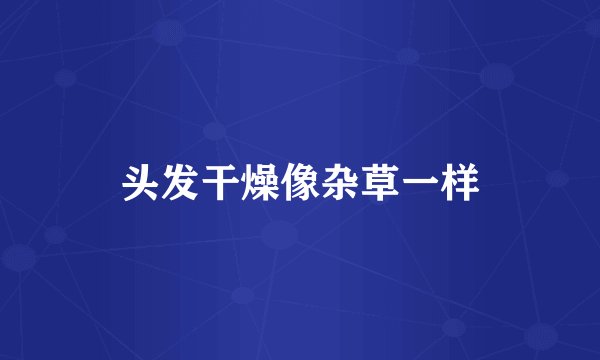 头发干燥像杂草一样
