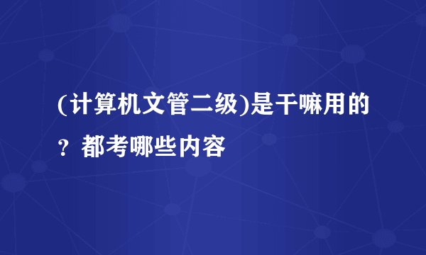 (计算机文管二级)是干嘛用的？都考哪些内容
