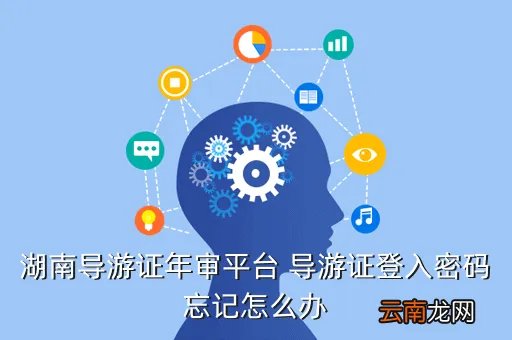 湖南导游证年审平台,湖南省导游证年审地点在哪里
