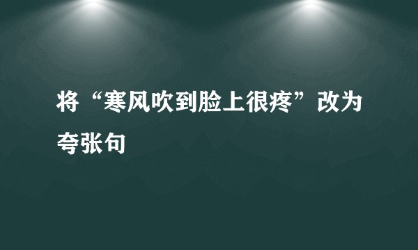 将“寒风吹到脸上很疼”改为夸张句