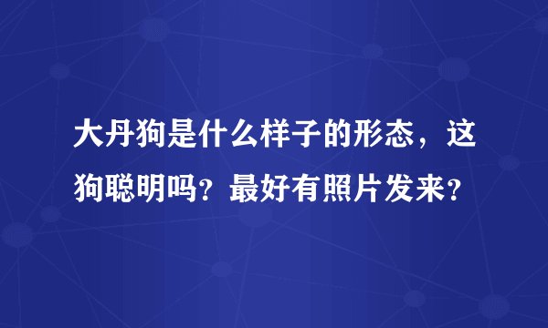 大丹狗是什么样子的形态，这狗聪明吗？最好有照片发来？