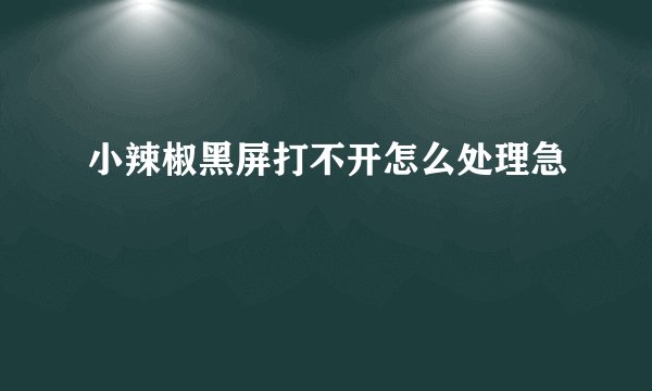 小辣椒黑屏打不开怎么处理急