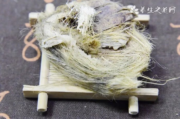 金毛寻回犬掉毛程度,这些说法并不夸张