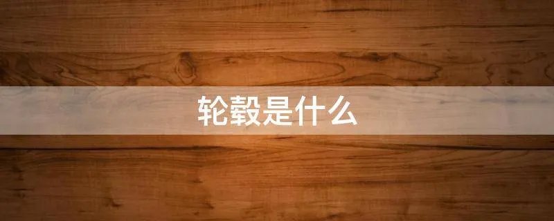 轮毂是什么