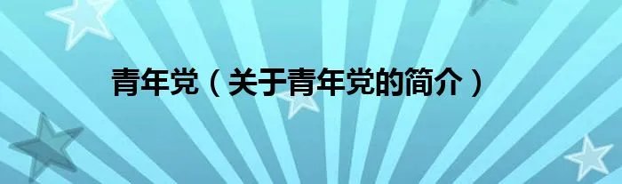 青年党（关于青年党的简介）