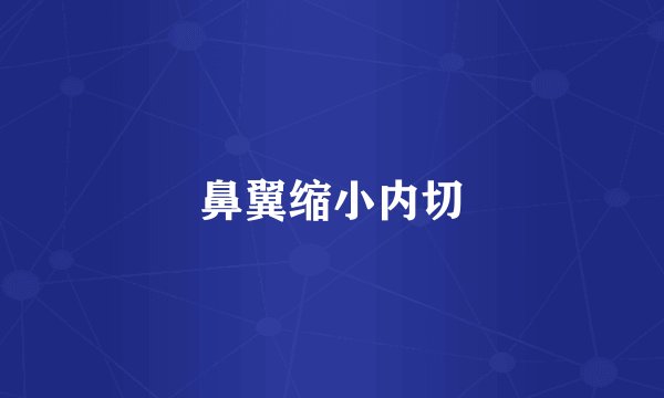 鼻翼缩小内切
