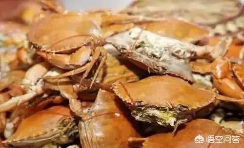 去海岛旅行,有哪些要注意的事项?