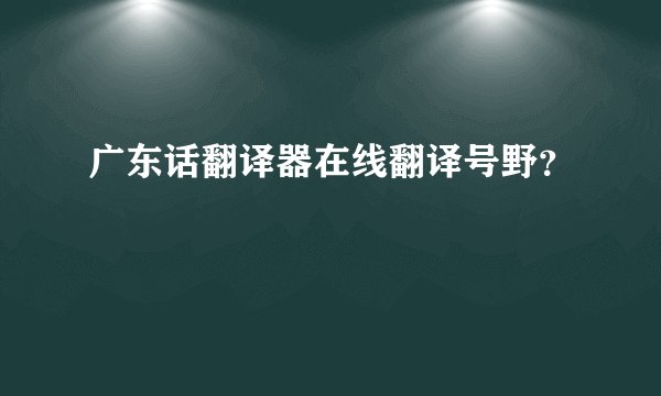 广东话翻译器在线翻译号野？