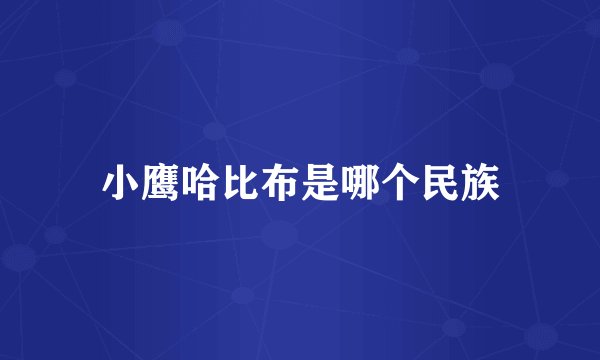 小鹰哈比布是哪个民族