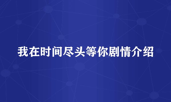 我在时间尽头等你剧情介绍